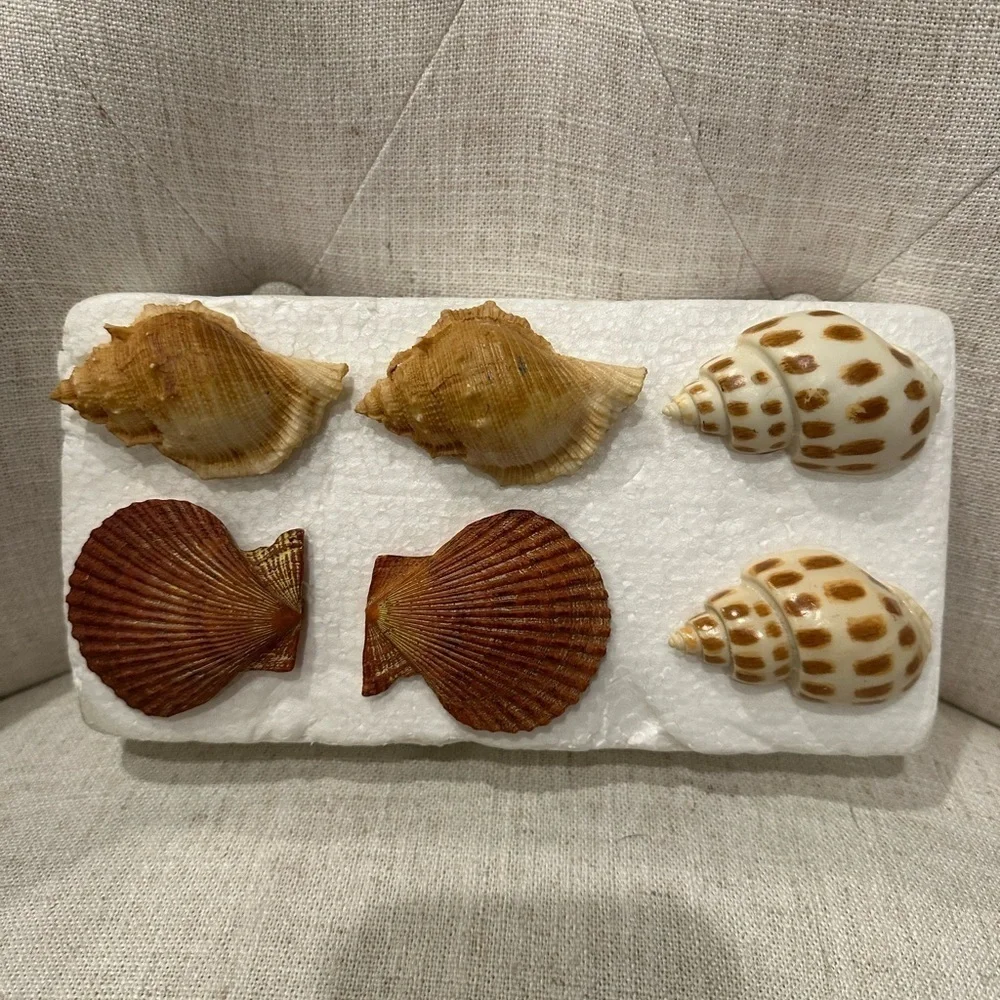 Sea Shell Napkin Ring Holders 12 Starfish Nautical Ocean Sea Beach Decor *NEW*